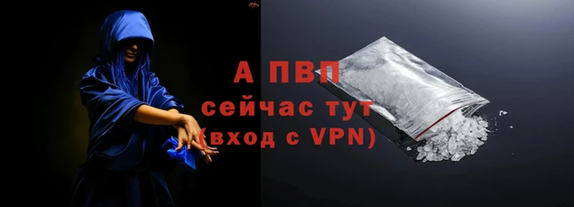 стаф Горнозаводск