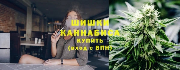 бошки Гусев