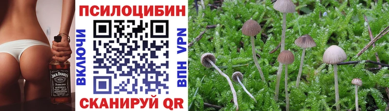 Галлюциногенные грибы мицелий  Купить закладки  Калтан 